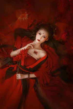 间谍过家家第三季